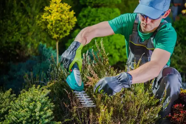 landscaping services Ackerman